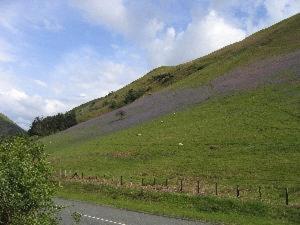 Buckley Arms Ξενοδοχείο Dinas Mawddwy Εξωτερικό φωτογραφία